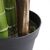 PALM TREE  NP5500_240_22 ΥΨΟΣ 240cm NewPlan - NewPlan |  Φυτά συνθετικά - Λουλούδια στο espiti