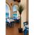 AGAVE TREE  NP802_160  ΥΨΟΣ 160cm NewPlan - NewPlan |  Φυτά συνθετικά - Λουλούδια στο espiti