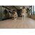 ΔΑΠΕΔΟ LAMINATE  EFFECT  PREMIUM 4V 12mm 902 TIBET NewPlan - NewPlan |   Laminate  στο espiti
