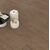 ΔΑΠΕΔΟ LAMINATE  WINGS  4V 8mm 004 RAVEN NewPlan - NewPlan |   Laminate  στο espiti