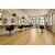ΠΛΑΣΤΙΚΟ ΔΑΠΕΔΟ TITAN  602L WILLOW OAK 4M NewPlan - NewPlan |  Πλαστικά Δάπεδα  στο espiti