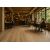 ΠΛΑΣΤΙΚΟ ΔΑΠΕΔΟ TITAN  662M WILLOW OAK 4M NewPlan - NewPlan |  Πλαστικά Δάπεδα  στο espiti