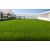 ΓΚΑΖΟΝ SKIATHOS 30mm 2Μ NewPlan - NewPlan |  Κάθετοι Κήποι στο espiti