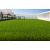 ΓΚΑΖΟΝ SKIATHOS 30mm 4Μ NewPlan - NewPlan |  Κάθετοι Κήποι στο espiti