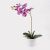 Διακοσμητικό φυτό σε γλάστρα Οrchid Beauty Inart 30x13x46εκ |  Φυτά συνθετικά - Λουλούδια στο espiti