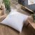 Μαξιλαροθήκη Bari 00 - 50x50cm 52018116 Teoran |  Μαξιλάρια διακοσμητικά στο espiti