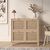Κονσόλα ArteLibre AESIR Φυσικό Μοριοσανίδα/Rattan 90x35x85.2cm 15350211 ArteLibre |  Συρταριέρες -Κονσόλες στο espiti