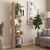 Βιβλιοθήκη Perla Megapap χρώμα sepet oak 48x22x170εκ. |  Βιβλιοθήκες στο espiti