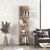 Βιβλιοθήκη Perla Megapap χρώμα sepet oak 48x22x170εκ. |  Βιβλιοθήκες στο espiti