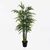 Διακοσμητικό φυτό σε γλάστρα Arti Bamboo Inart πράσινο Φ70x150εκ |  Φυτά συνθετικά - Λουλούδια στο espiti