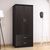 Ντουλάπα ρούχων δίφυλλη OLYMPUS pakoworld χρώμα wenge 81x57x183εκ |  Ντουλάπες ρούχων στο espiti