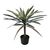 Διακοσμητικό φυτό Dracaena palm σε γλάστρα Inart πράσινο pp Υ62εκ |  Φυτά συνθετικά - Λουλούδια στο espiti