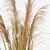 Διακοσμητικό φυτό σε γλάστρα Bulrush Inart Φ65x120εκ |  Φυτά συνθετικά - Λουλούδια στο espiti