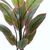Διακοσμητικό φυτό σε γλάστρα Calathea Inart πράσινο Φ68x120εκ |  Φυτά συνθετικά - Λουλούδια στο espiti