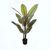 Διακοσμητικό φυτό σε γλάστρα Calathea Inart πράσινο Φ68x120εκ |  Φυτά συνθετικά - Λουλούδια στο espiti