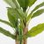 Διακοσμητικό φυτό σε γλάστρα Banana Tree Inart πράσινο Φ53x190εκ |  Φυτά συνθετικά - Λουλούδια στο espiti
