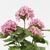 Διακοσμητικό φυτό σε γλάστρα Hydrangea Inart ροζ Φ35x50εκ |  Φυτά συνθετικά - Λουλούδια στο espiti