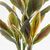 Διακοσμητικό φυτό σε γλάστρα Cycas Inart πράσινο Φ55x80εκ |  Φυτά συνθετικά - Λουλούδια στο espiti