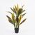 Διακοσμητικό φυτό σε γλάστρα Cycas Inart πράσινο Φ55x80εκ |  Φυτά συνθετικά - Λουλούδια στο espiti